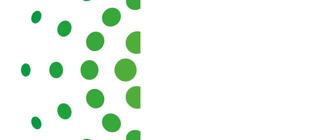 Lean Assets Logo